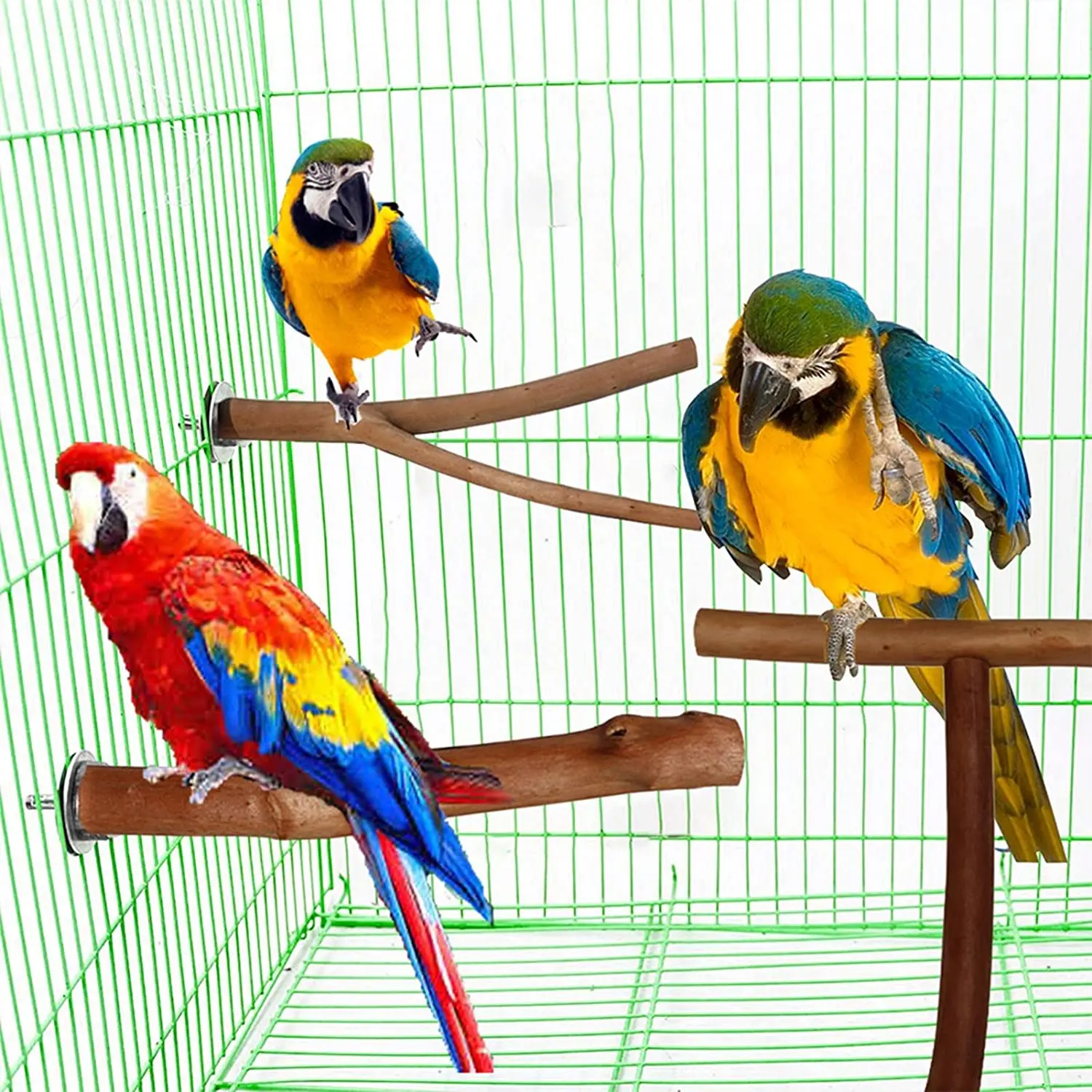 Aves de Percha | Rama bifurcada Soporte de la Varilla de Perico de los Juguetes de Aves de Jaula Accesorios para la Pata de Molienda de Ejercicios de Entrenamiento de Escalada de Pie . ' - ' . 2